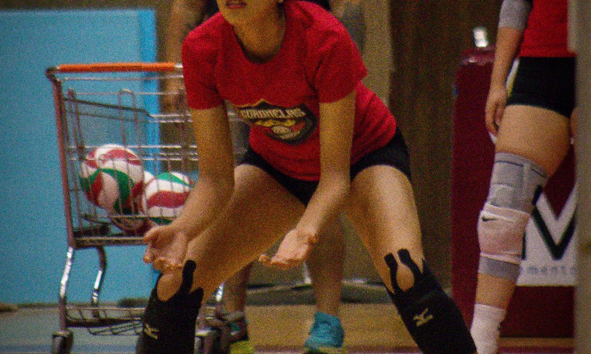 ¡Debut histórico y GRATIS! Coronelas toman el Auditorio 🏐🔥