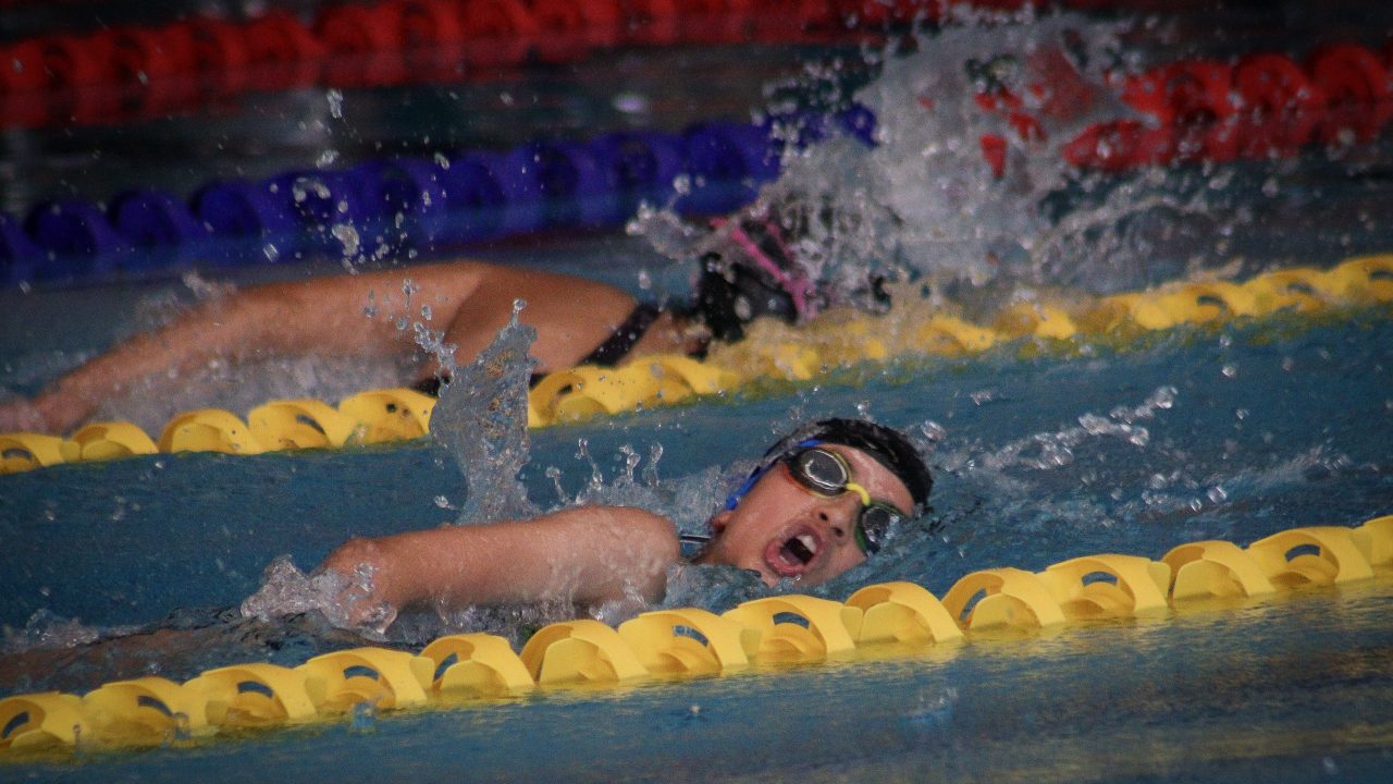 ¡Tiburones devora la alberca! Campeones del Estatal de Natación 2026 🦈🏊‍♂️🥇